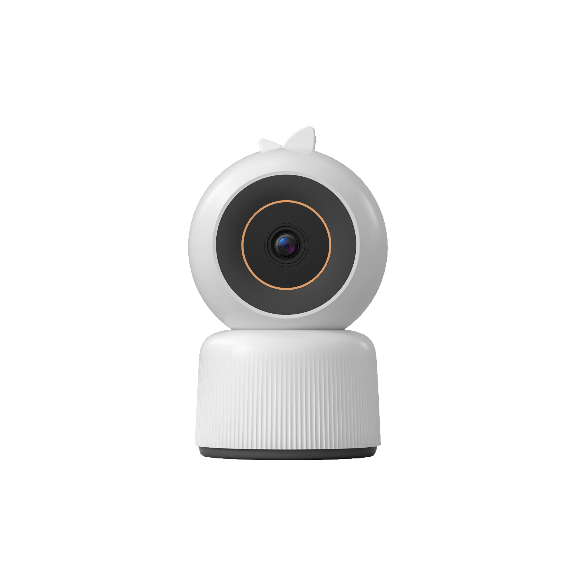 Camera & Sensor Modules